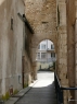 Rhone 225